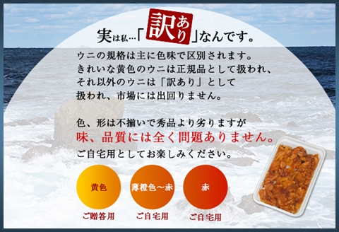 1259.訳あり うに 200g ワケあり ウニ チリ産 冷凍 雲丹 不揃い B級品 うに わけ あり 海鮮 4人前 丼 刺身 自宅用 送料無料 北海道 弟子屈町