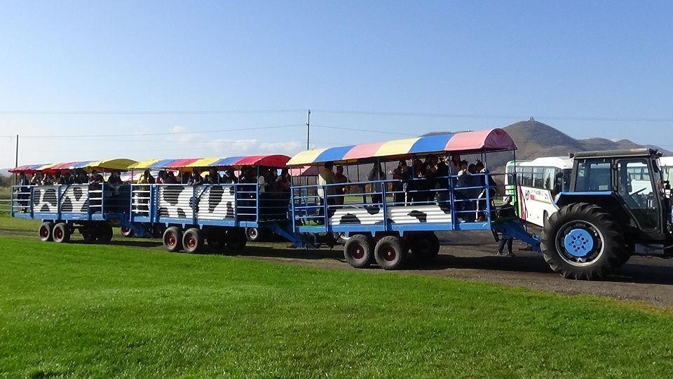 221.乳しぼり、バター、アイスクリーム作り体験コース　２