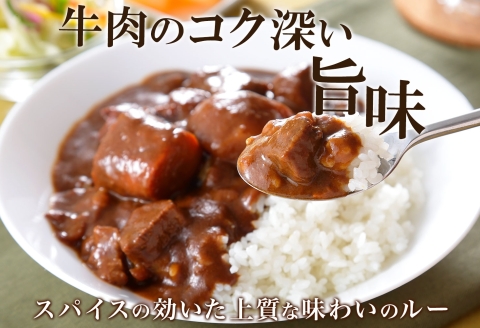 3444. おためし 弟子屈 ビーフカレー 1個 中辛 牛肉 お試し レトルトカレー 野菜 備蓄 北海道 弟子屈町