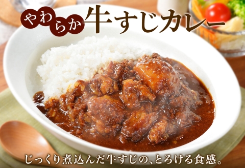 1445. 弟子屈 カレー 2種 食べ比べ 計4個 中辛 バターチキンカレー 牛すじカレー 鶏肉 牛肉 じゃがいも 業務用 レトルトカレー レトルト 北海道 弟子屈町