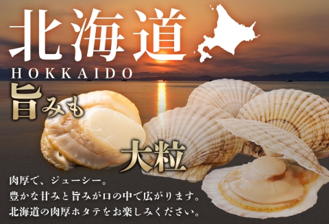 2947.ボイル ほたて 500g ホタテ 2Lサイズ 大粒 帆立 魚介 海鮮 貝 お取り寄せ グルメ 贈り物 冷凍 送料無料 北海道 弟子屈町