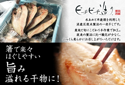 2522. ふっくらやわらか 干物 5点セット 真ホッケ サンマ カレイ ニシン サバ 魚介 海鮮 送料無料 北海道 弟子屈町