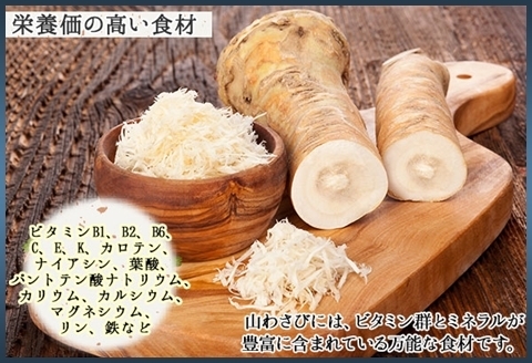 3165. 天然 山わさび 1kg前後 産地直送 薬味 肉 BBQ バーベキュー 焼き肉 送料無料 北海道 弟子屈町