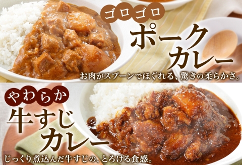 780. カレー 4種 食べ比べ 計4個 中辛 スープカレー ビーフカレー ポークカレー 牛すじ じゃがいも 牛 牛肉 豚肉 肉 レトルトカレー 北海道 弟子屈町