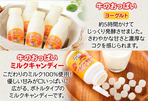 783.牛のおっぱいミルク 3本 コーヒーミルク3本 のむヨーグルト3本 計9本 おっぱいミルクキャンディー1個 セット 牛乳 生乳 ミルク 飲料 しぼりたて 珈琲 ヨーグルト 飴 北海道 弟子屈町