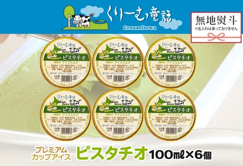 2349. 無地熨斗 くりーむ童話 カップアイス ピスタチオ 100ml×6個 アイスクリーム アイス スイーツ 牛乳 ミルク 贈り物 gift ギフト プレゼント 詰め合わせ 送料無料 北海道 弟子