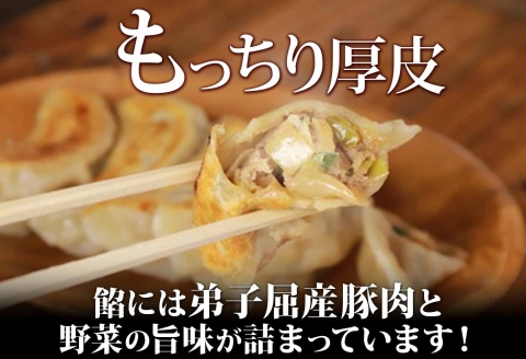 1812. よだれ餃子 10個入 4パック 計40個 餃子 ぎょうざ ギョウザ ギョーザ 生餃子 冷凍 中華 豚 肉 野菜 厚皮 惣菜 お取り寄せ 昇龍軒 送料無料 北海道 弟子屈町 20000円