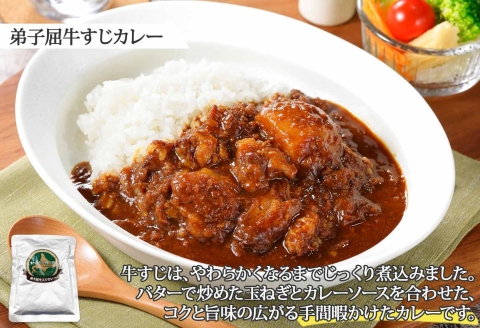 1445. 弟子屈 カレー 2種 食べ比べ 計4個 中辛 バターチキンカレー 牛すじカレー 鶏肉 牛肉 じゃがいも 業務用 レトルトカレー レトルト 北海道 弟子屈町