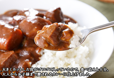 528.ビーフカレー ＆ チキンレッグ スープカレー 食べ比べ 20個 セット 中辛 牛肉 チキン業務用 レトルトカレー 野菜 備蓄 まとめ買い 北海道 弟子屈町