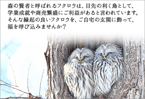 531.木製 名入れ 手作り　表札 ふくろう（月） 北海道 弟子屈町