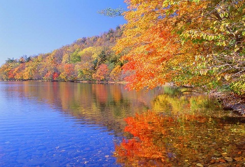 北海道弟子屈町【屈斜路湖エリア】ANAトラベラーズホテル割引クーポン（4,500点）