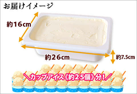 594アイスクリーム みるく ジェラート ミルク 業務用 2リットル 2L アイス 大容量  手作り .北海道 弟子屈町