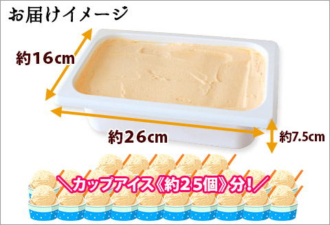 595.アイスクリーム メロン ジェラート 業務用 2リットル 2L アイス 大容量 手作り 北海道 弟子屈町