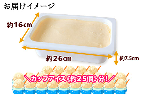 596.アイスクリーム クリームチーズ ジェラート チーズ 業務用 2リットル 2L アイス 大容量  手作り 北海道 弟子屈町