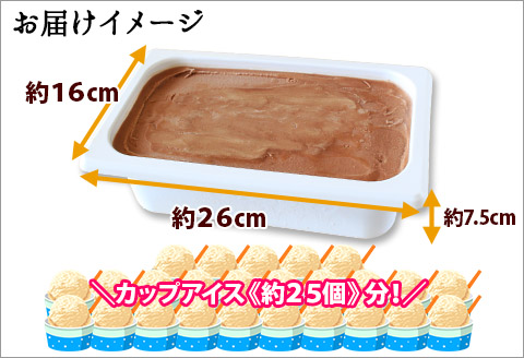 597.アイスクリーム チョコレート ジェラート チョコ 業務用 2リットル 2L アイス 大容量  手作り 北海道 弟子屈町
