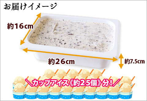 598.アイスクリーム チョコチップ ジェラート チョコ 業務用 2リットル 2L アイス 大容量  手作り 北海道 弟子屈町