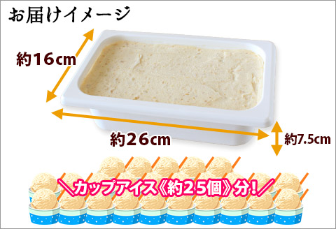 602.アイスクリーム くるみ ジェラート 業務用 2リットル 2L アイス 大容量  手作り 北海道 弟子屈町