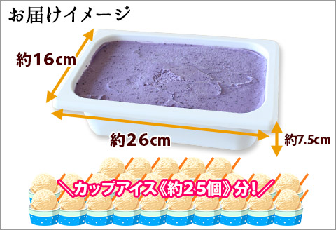 604.アイスクリーム ブルーベリー ジェラート ベリー 業務用 2リットル 2L アイス 大容量  手作り 北海道 弟子屈町