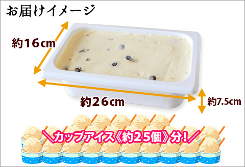 605.アイスクリーム ラムレーズン ジェラート 業務用 2リットル 2L アイス 大容量  手作り 北海道 弟子屈町