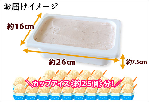 606.アイスクリーム いちご ジェラート イチゴ　苺 ベリー 業務用 2リットル 2L アイス 大容量  手作り 北海道 弟子屈町