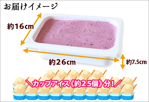 607.アイスクリーム ハスカップ ジェラート 業務用 2リットル 2L アイス 大容量  手作り 北海道 弟子屈町