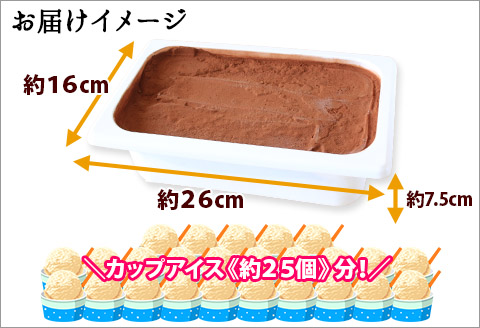 634.アイスクリーム ミルクココア ジェラート ココア 業務用 2リットル 2L アイス 大容量  手作り 北海道 弟子屈町