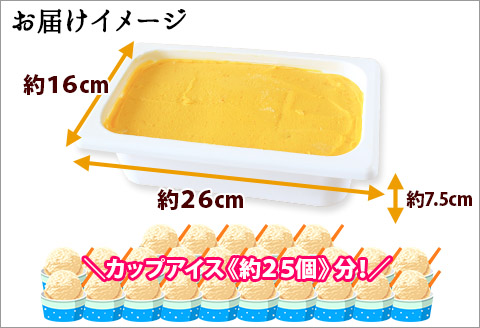 611.アイスクリーム かぼちゃ ジェラート カボチャ 南瓜 業務用 2リットル 2L アイス 大容量  手作り 北海道 弟子屈町
