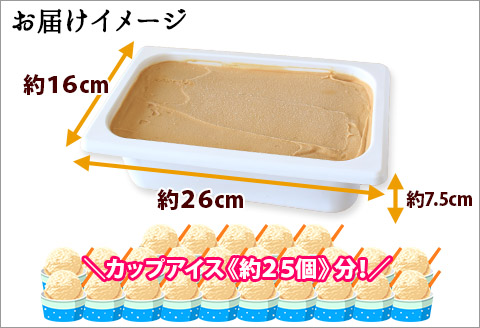 612.アイスクリーム キャラメル ジェラート 業務用 2リットル 2L アイス 大容量  手作り 北海道 弟子屈町