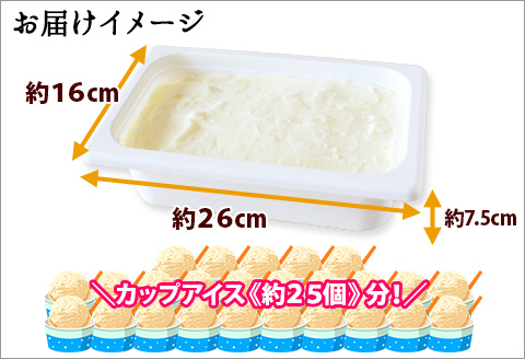 613.アイスクリーム ソルトロック ジェラート 塩 業務用 2リットル 2L アイス 大容量  手作り 北海道 弟子屈町