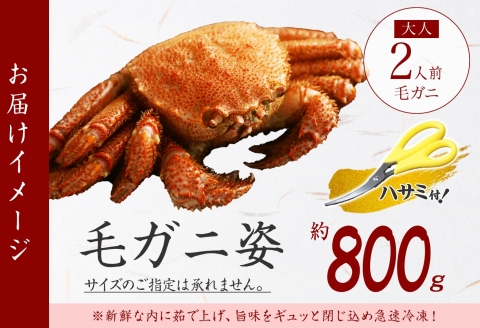 3302. ボイル毛蟹姿 800g 食べ方ガイド・専用ハサミ付 カニ かに 蟹 海鮮 送料無料 北海道 弟子屈町