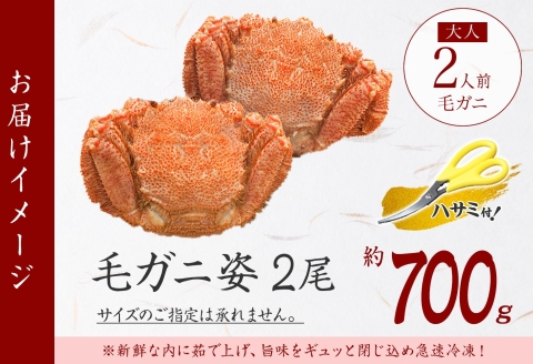 3334. 毛蟹 2尾 計700g前後 食べ方ガイド・専用ハサミ付 カニ かに 蟹 海鮮 ボイル 送料無料 北海道 弟子屈町