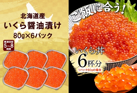 【年内配送 12月20日まで受付】3363. いくら醤油漬け 80g×6個 いくら イクラ 魚卵 魚介 海鮮 送料無料 北海道 弟子屈町