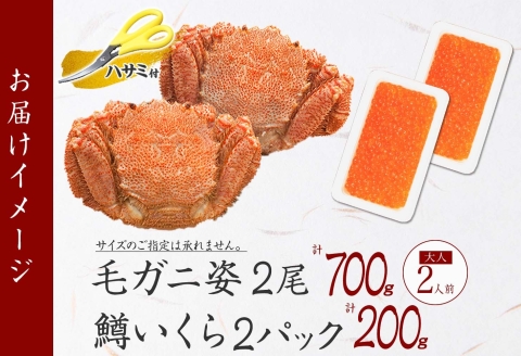 3629. 毛蟹 2尾 計700g前後 鱒いくら醤油漬け 200g 専用ハサミ・食べ方ガイド付き 毛ガニ 毛がに 蟹 カニ 鱒 いくら 醤油漬け 送料無料 北海道 弟子屈町