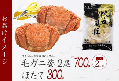 3419. 毛蟹 2尾 計700g前後 ホタテ 300g  毛ガニ 毛がに 蟹 カニ カニ味噌 ほたて 帆立 海鮮 北海道 弟子屈町
