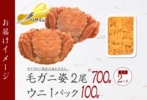 3418. 毛蟹 2尾 計700g前後 うに 100g 毛ガニ 毛がに 蟹 カニ かに 蟹肉 カニ味噌  ウニ チリ産 冷凍 雲丹 海鮮 北海道 弟子屈町