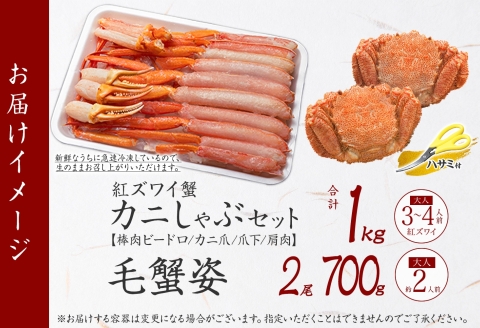 3425. 紅ズワイ 蟹しゃぶ ビードロ 1kg 毛蟹 2尾 計700g前後 専用ハサミ・ガイド付き 紅ずわい 毛ガニ 蟹 カニ しゃぶしゃぶ 鍋 送料無料 北海道 弟子屈町
