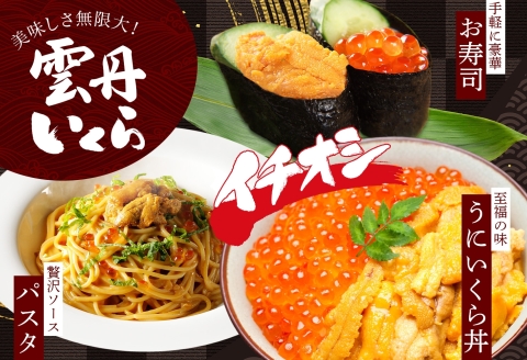 【年内配送 12月14日まで受付】3590.  うに 100g いくら醤油漬け 200g ウニ チリ産 冷凍 いくら 二色丼 雲丹 イクラ 海鮮 海鮮丼 うに丼 いくら丼 いくら醤油漬け 送料無料 北海道 弟子屈町