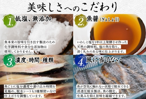 2529. ふっくらやわらか 干物 7点セット 真ホッケ サンマ カレイ イワシ 秋鮭 コマイ ニシン 魚介 海鮮 送料無料 北海道 弟子屈町