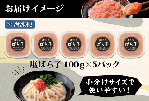 3002.  塩ばら子 たらこ 100g×5個 計500g 魚卵 バラコ 食べ比べ 鱈子 タラコ お取り寄せ おかず ご飯のお供 おつまみ 酒の肴 魚介 海鮮 ギフト 送料無料 北海道 弟子屈町