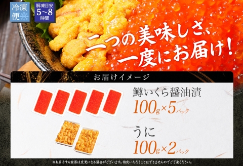 3617. 2種 海鮮丼 鱒 いくら醤油漬け 100g×5 約5-6人前 ウニ チリ産 雲丹 うに 100g×2 セット いくら イクラ いくら醤油 魚卵 ます マス 海鮮 送料無料 北海道 弟子屈町