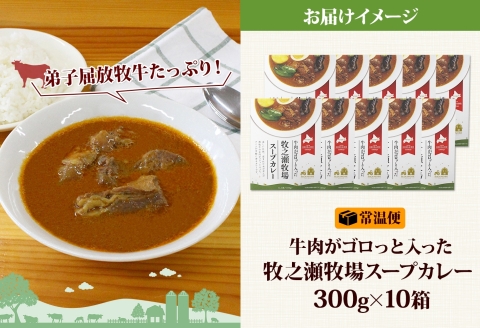 3023. ビーフ スープカレー 300g 10箱 カレー ビーフカレー スープ 牛 牛肉 放牧牛 牧場 レトルトカレー レトルト食品 レトルト 湯煎 レンジ 牧之瀬牧場 送料無料 北海道 弟子屈町