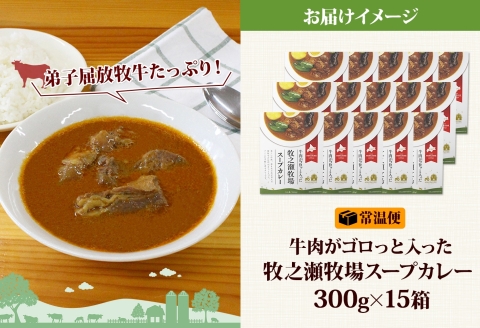 3024. ビーフ スープカレー 300g 15箱 カレー ビーフカレー スープ 牛 牛肉 放牧牛 牧場 レトルトカレー レトルト食品 レトルト 湯煎 レンジ 牧之瀬牧場 送料無料 北海道 弟子屈町