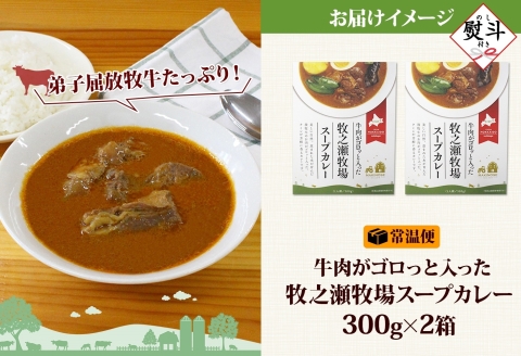 3025. 無地熨斗 ビーフ スープカレー 300g 2箱 カレー ビーフカレー スープ 牛 牛肉 放牧牛 牧場 レトルトカレー レトルト食品 レトルト 湯煎 レンジ 牧之瀬牧場 送料無料 北海道 弟子屈町