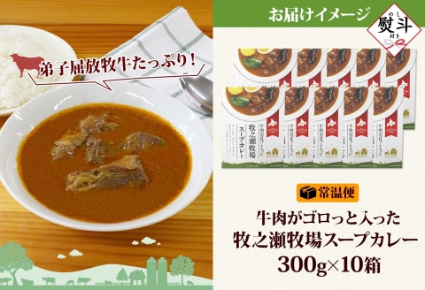 3027.無地熨斗 ビーフ スープカレー 300g 10箱 カレー ビーフカレー スープ 牛 牛肉 放牧牛 牧場 レトルトカレー レトルト食品 レトルト 湯煎 レンジ 牧之瀬牧場 送料無料 北海道 弟子屈町