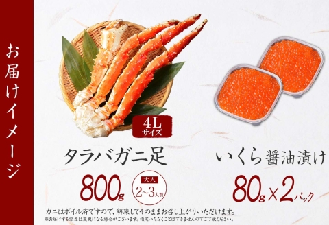 3092. タラバガニ足 4L 800g いくら たらば 海鮮 食べ方ガイド・専用ハサミ付 カニ かに 蟹 送料無料 北海道 弟子屈町