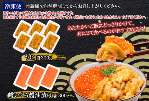 3621. 雲丹 300g 鱒いくら醤油漬け 300g 海鮮2種 ウニ チリ産 冷凍 雲丹 鱒いくら いくら イクラ 海鮮 海鮮丼 北海道 弟子屈町