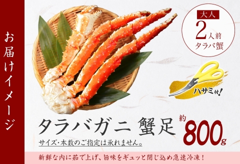 【年内配送 12月21日まで受付】3177.ボイルタラバガニ足 800g 4L 食べ方ガイド・専用ハサミ付 カニ かに 蟹 海鮮 送料無料 北海道 弟子屈町
