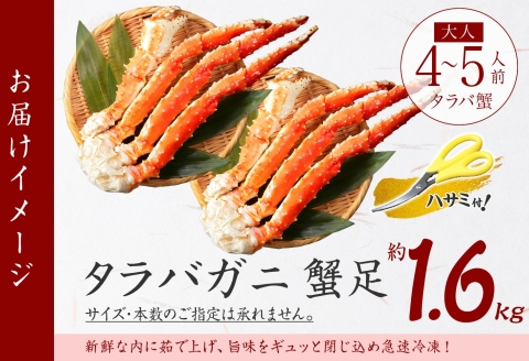 【年内配送 12月21日まで受付】3184. ボイルタラバガニ足 800g×2 1.6kg 食べ方ガイド・専用ハサミ付 カニ かに 蟹 海鮮 送料無料 北海道 弟子屈町
