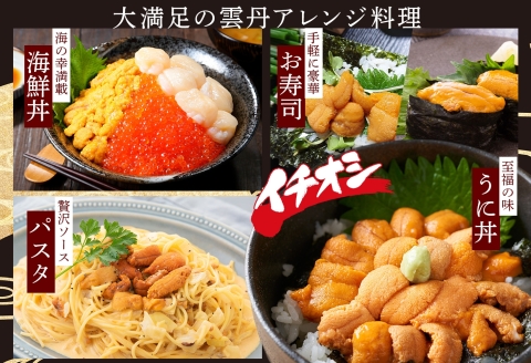 3209. うに 海鮮 ウニ チリ産 冷凍 200g 4人前 雲丹 丼 刺身 送料無料 北海道 弟子屈町