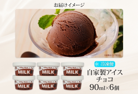 3220. 牧之瀬牧場 自家製アイス チョコ 90ml 6個 アイス 氷菓子 チョコ味 チョコレート フレーバー 牧場 手作り セット おやつ デザート スイーツ 冷凍 ギフト 送料無料 北海道 弟子屈町